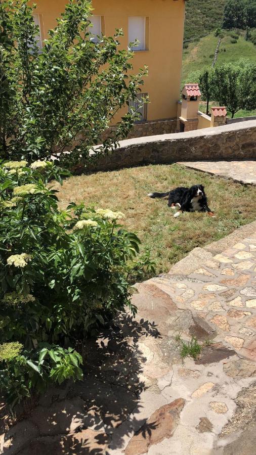 Casa Sierra De Gredos Guest House Navasequilla Eksteriør bilde