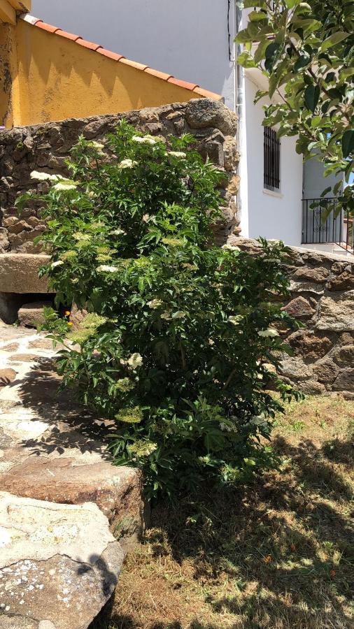 Casa Sierra De Gredos Guest House Navasequilla Eksteriør bilde
